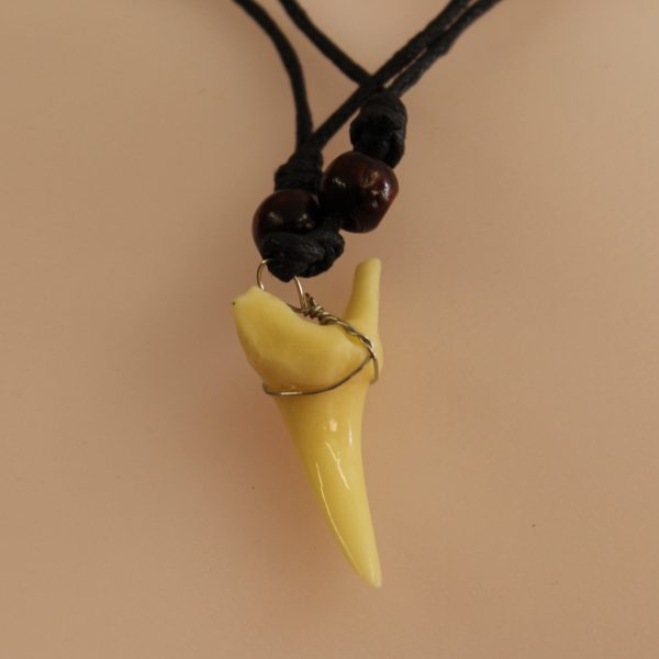 Shark Tooth Necklace - Image 2