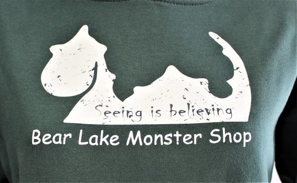 Kids Bear Lake Monster Hoodie - Green - Image 2