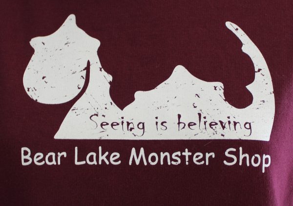 Kids Bear Lake Monster Hoodie - Maroon - Image 2